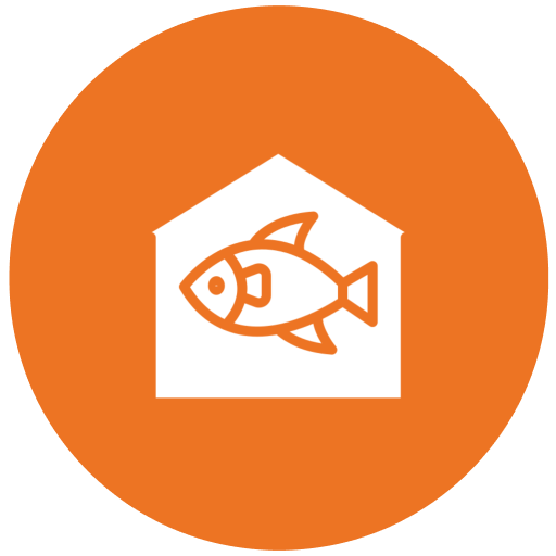 Fish Cleaning  House